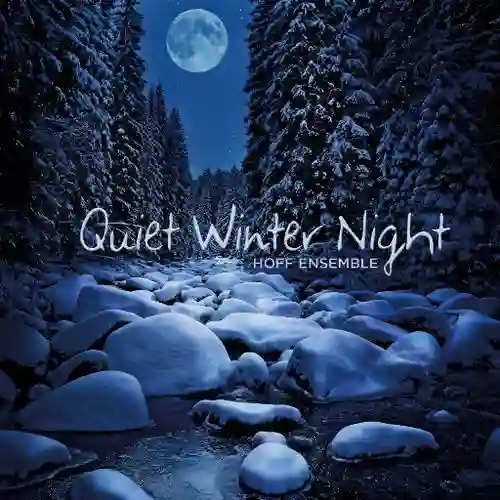 Quiet Winter Night (352.8kHz DXD)-Musq音乐