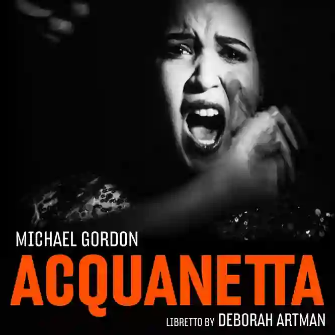 Michael Gordon: Acquanetta (Chamber Version)-Musq音乐