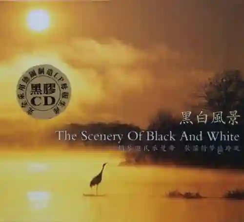 《黑白风景》-Musq音乐